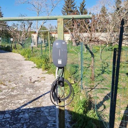 B&B Quattrostelle Cavallino di Lecce Εξωτερικό φωτογραφία